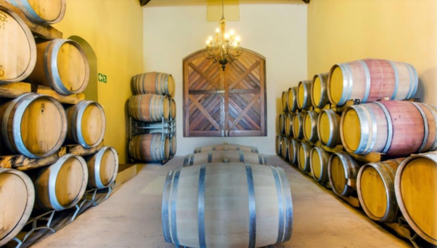 McGregor Wine & Walking Escape – Guided Vineyard Hikes in the Breede Valley gallery 3