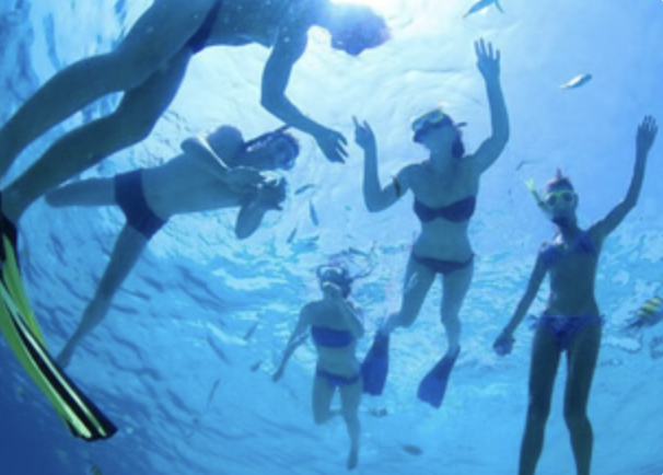 Cabo San Lucas Private Sail & Snorkel to The Arch with Open Bar (Up to 8 Guests) gallery 2
