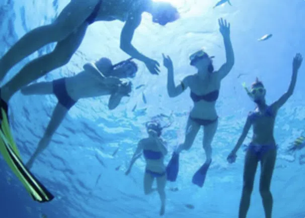 Cabo San Lucas Private Sail & Snorkel to The Arch with Open Bar (Up to 8 Guests), photo 2