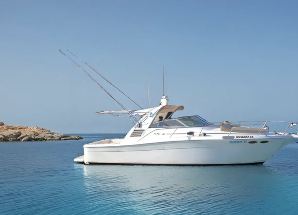 Cabo Private 36ft Yacht Charter to El Arco with Snorkelling (Up to 10 Guests), listing photo