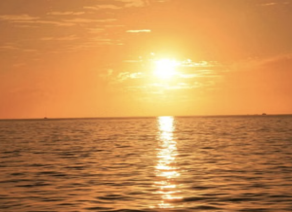 Cabo Sunset Catamaran Cruise to El Arco with Open Bar, photo 4