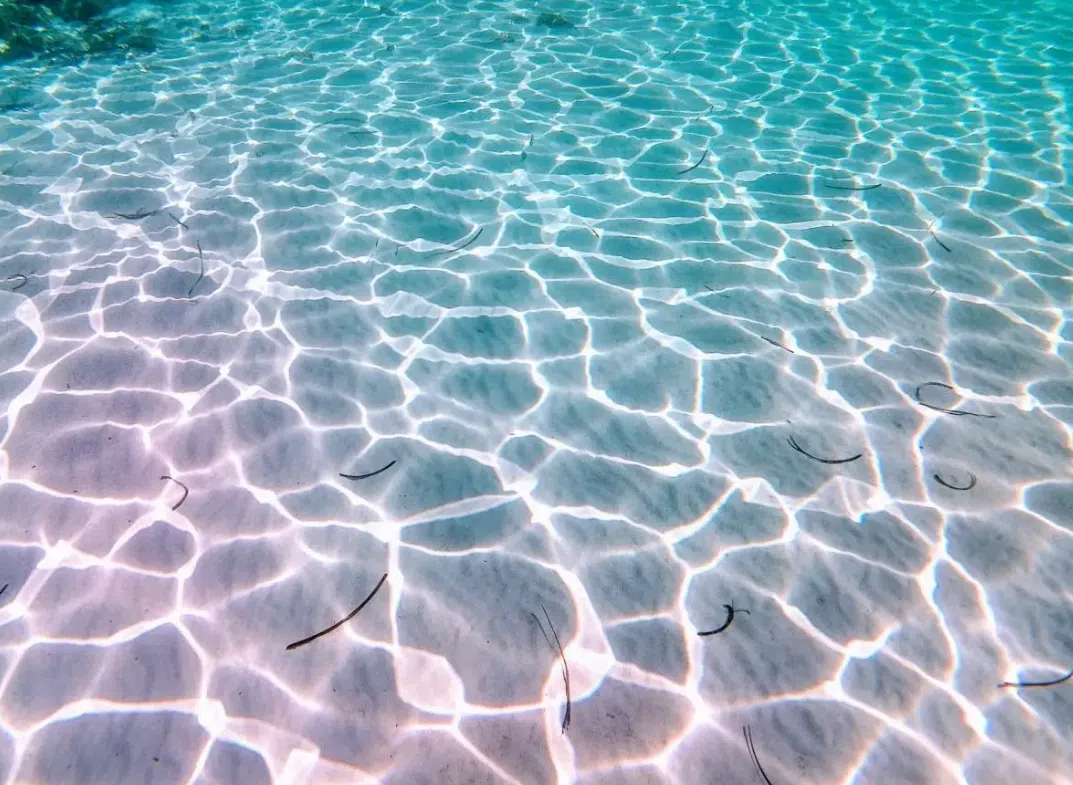 Egadi Islands RIB Boat Tour: Favignana and Levanzo with Lunch included from Trapani gallery 4
