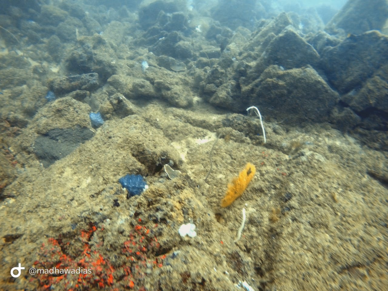 Scuba Diving Experience in Unawatuna – Reef & Wreck Dive gallery 5