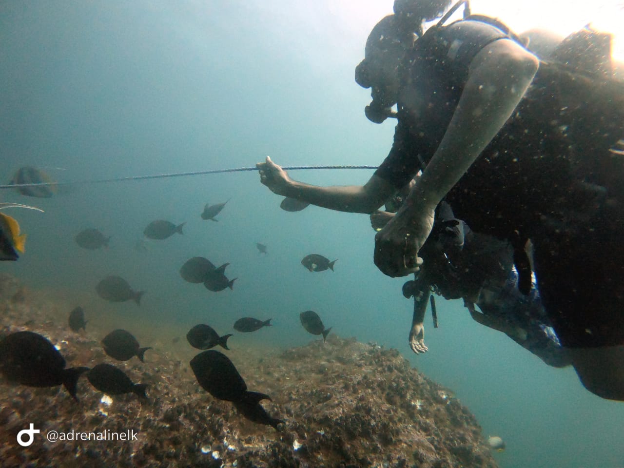 Scuba Diving Experience in Unawatuna – Reef & Wreck Dive gallery 2
