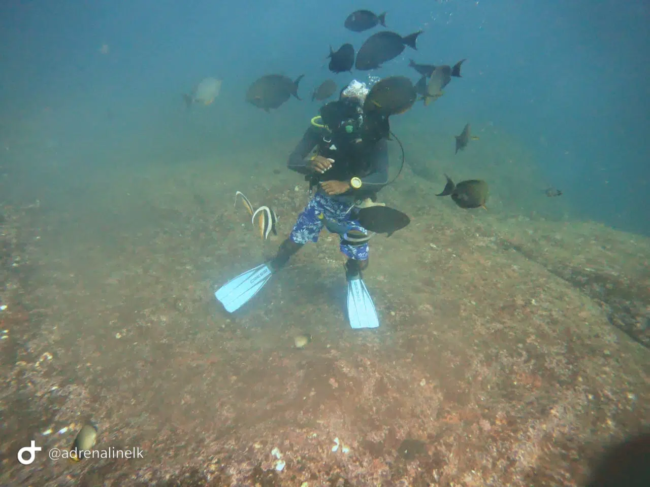 Scuba Diving Experience in Unawatuna – Reef & Wreck Dive, photo 2