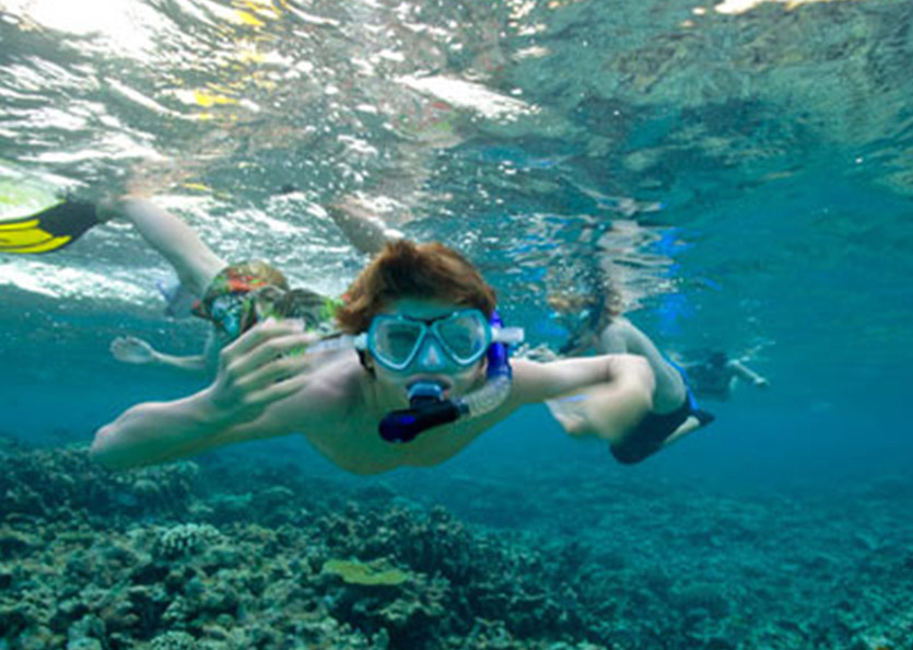 Snorkelling Experience in Unawatuna Bay – Guided Reef Tour, photo 3