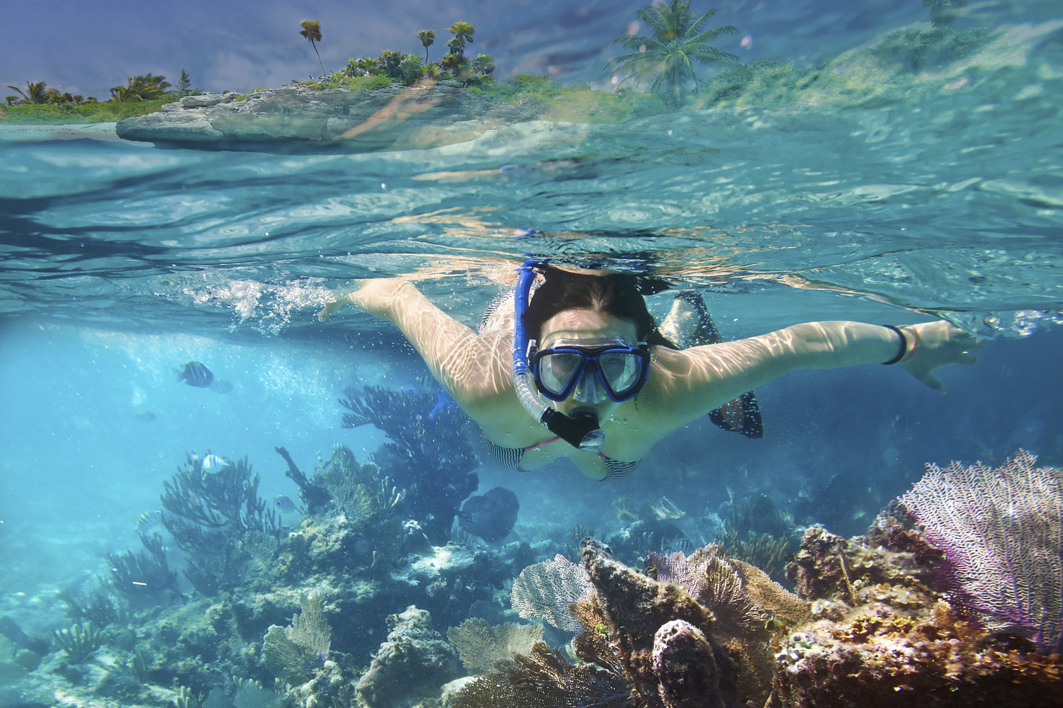 Snorkelling Experience in Unawatuna Bay – Guided Reef Tour, listing photo