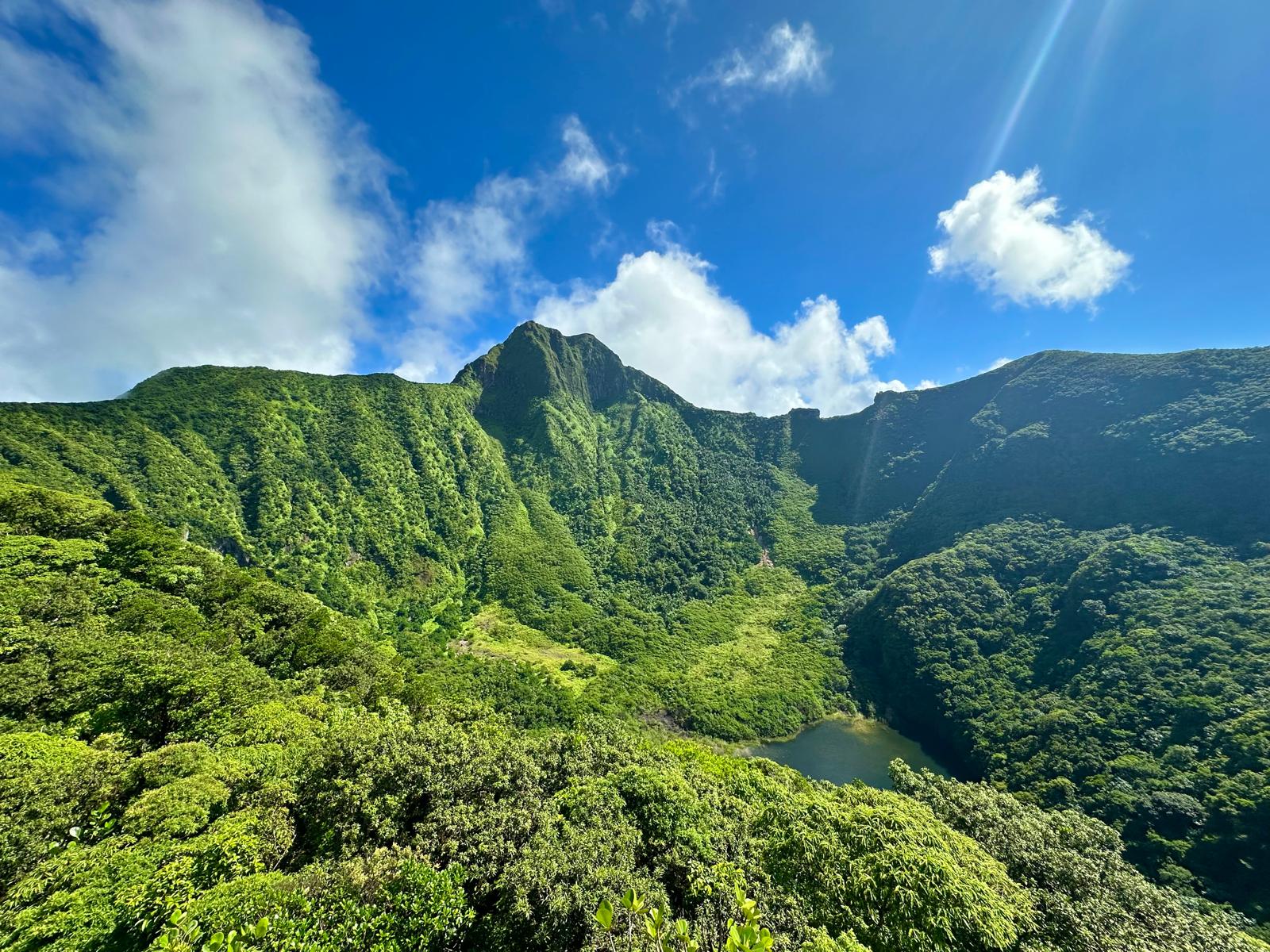 Mount Liamuiga Volcano Hike, St Kitts Highest Peak, photo 5