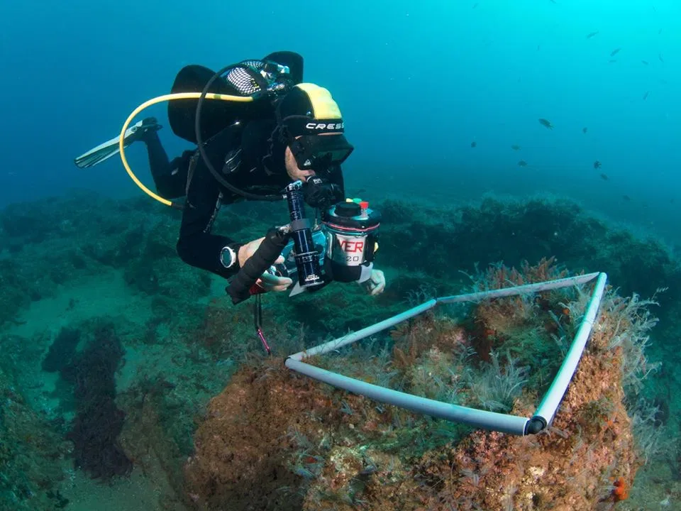 PADI Advanced Open Water Course in Madeira (2 Days) gallery 5