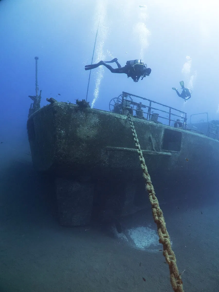 Corveta Afonso Cerqueira Wreck Dive (Boat Dive from Funchal) gallery 5