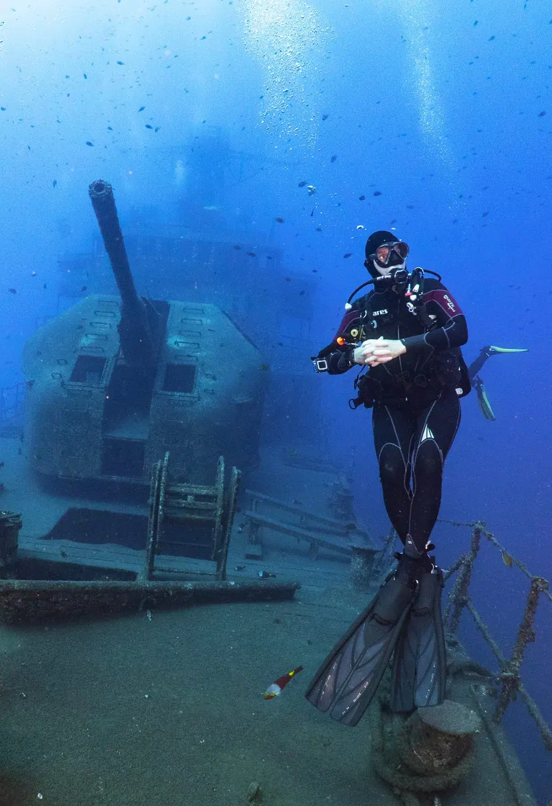 Corveta Afonso Cerqueira Wreck Dive (Boat Dive from Funchal) gallery 4