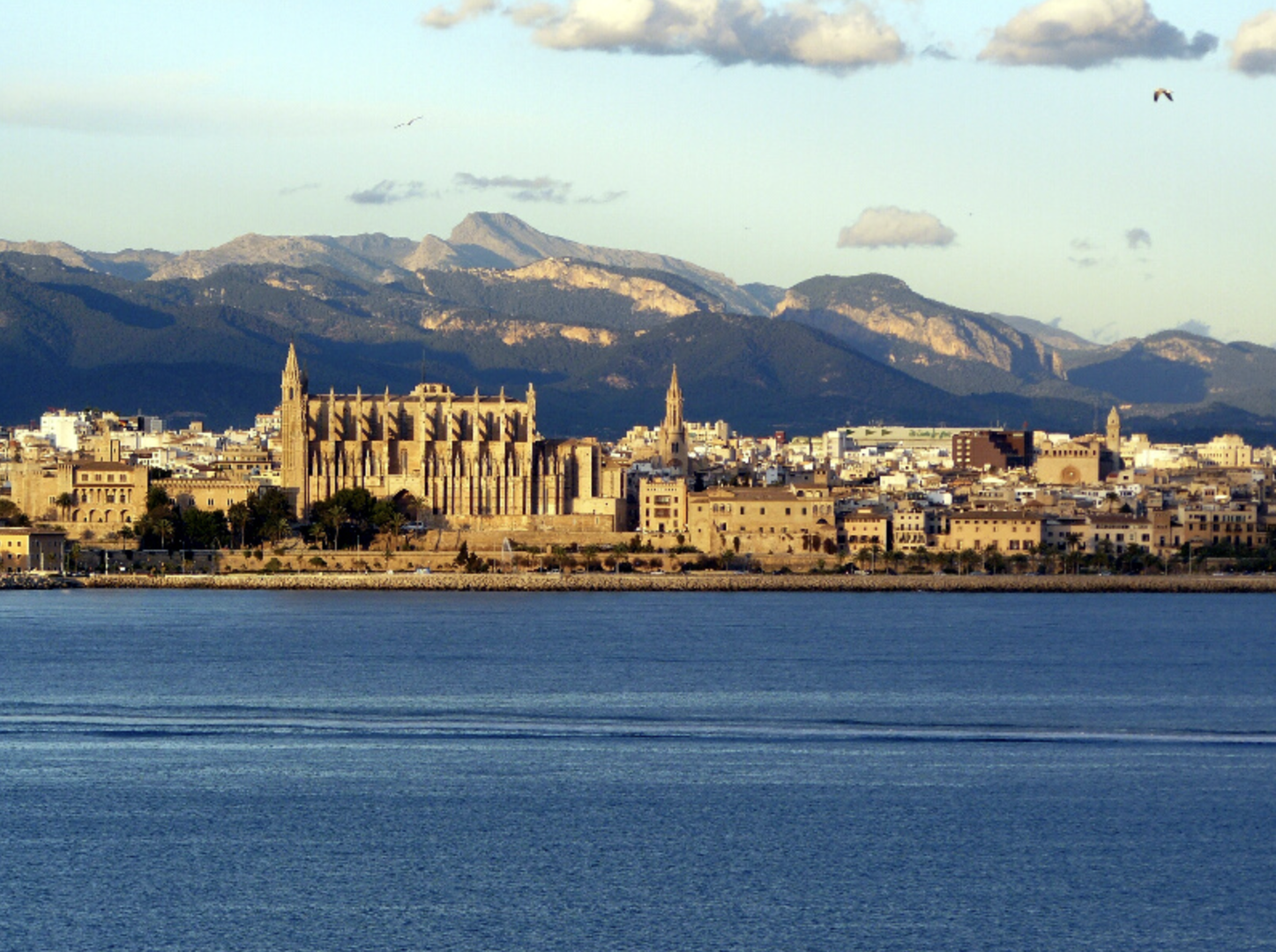 Illetas Discovery Boat Tour with Swim Stop from Playa de Palma gallery 4
