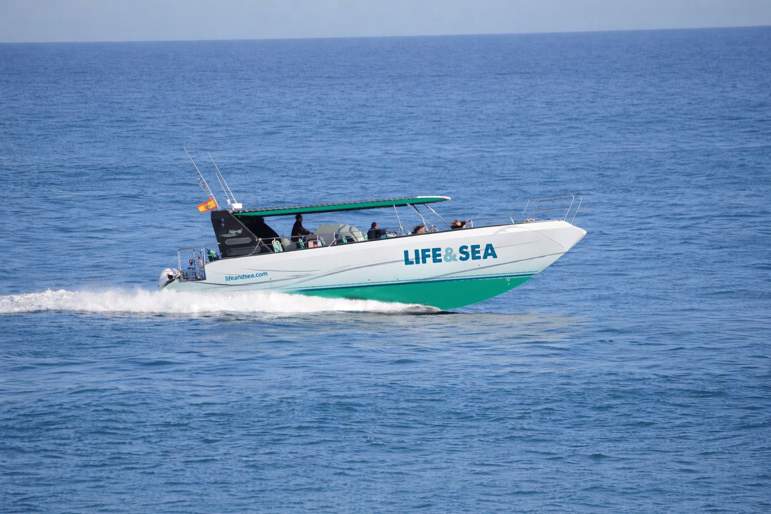 Sunrise Dolphin Watching Boat Trip from Playa de Palma, photo 4