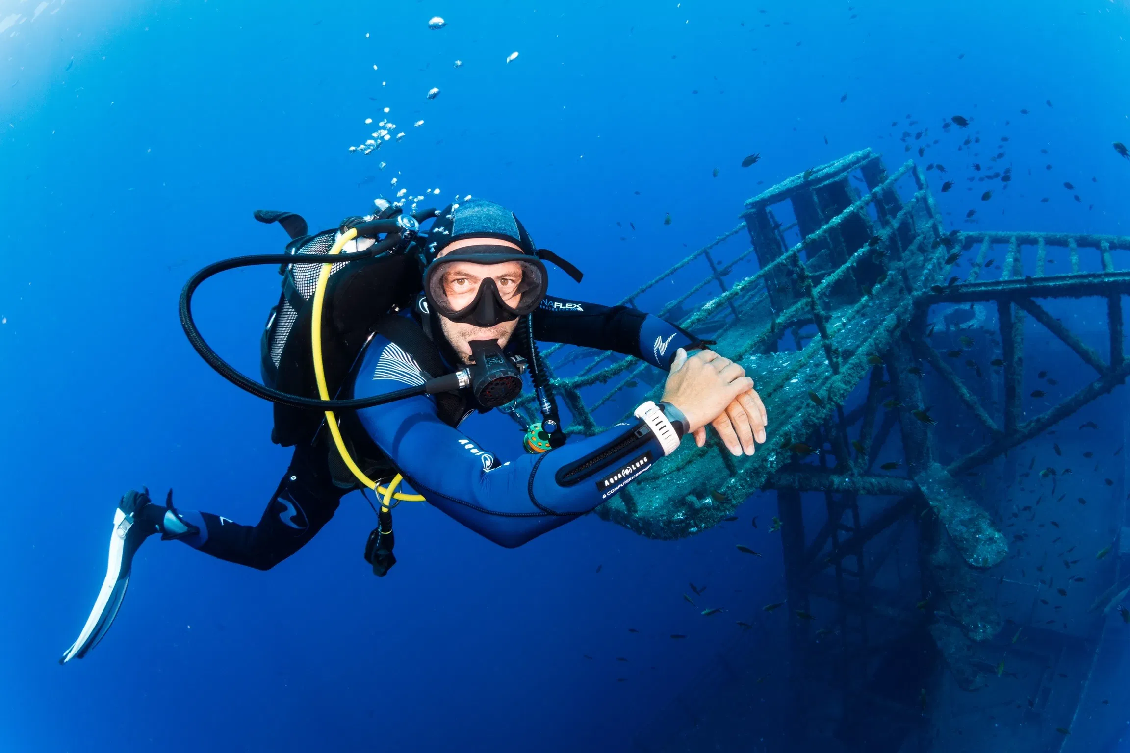 Corveta Afonso Cerqueira Wreck Dive (Boat Dive from Funchal) gallery 9