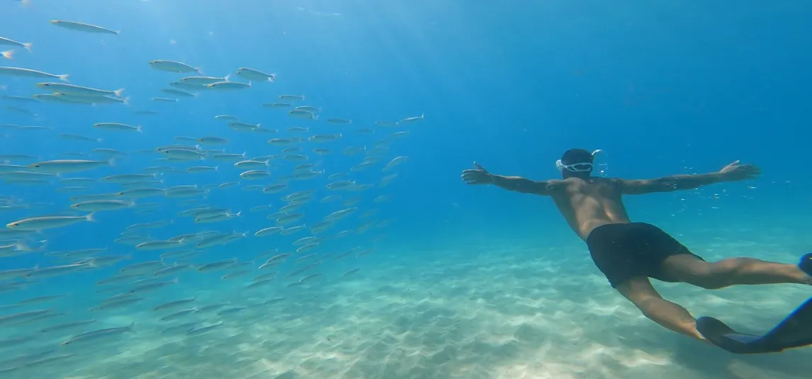 Palma Bay Catamaran Cruise to Cala Vella with BBQ & Swim Stops gallery 5