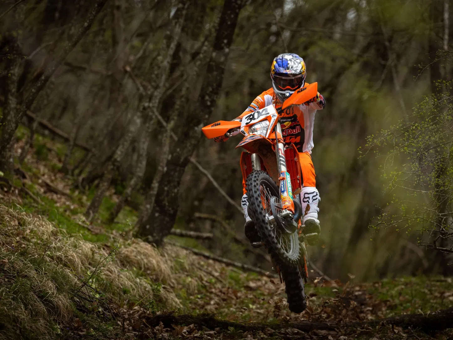 Motorcycle Off-Road Adventure Rides in Portimão, photo 4