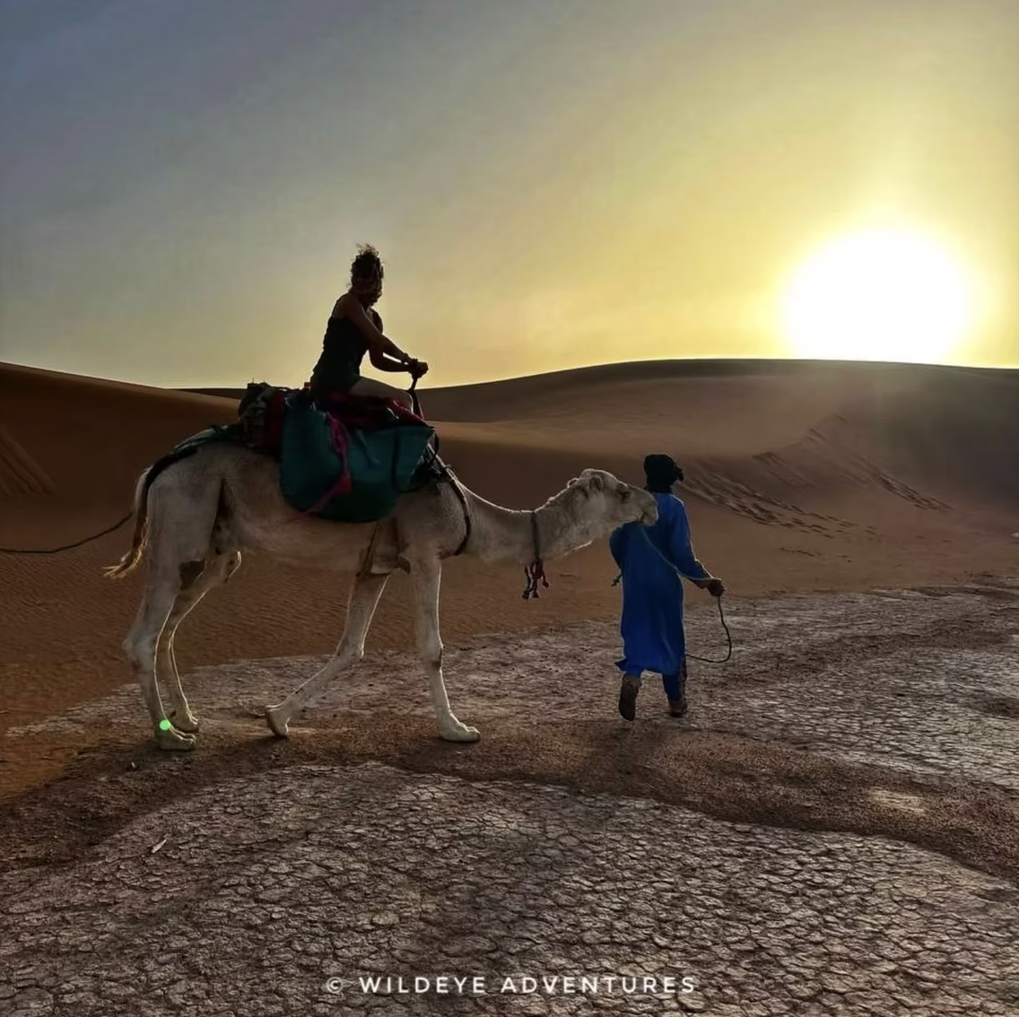 Day 4 – Moving Deeper into the Sahara 🐪 1