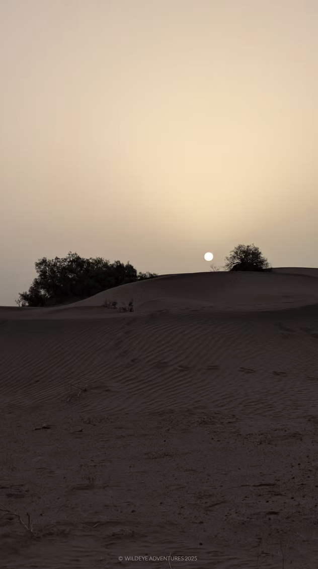 Day 8 – Return to Marrakech 🚐 1