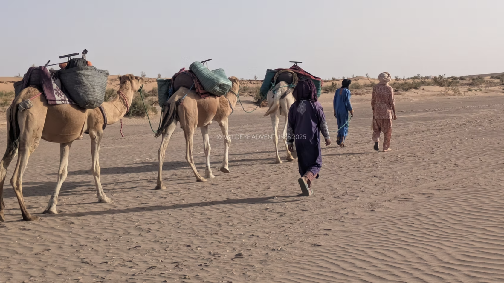 Day 1 – Arrival in Marrakech 🕌 1