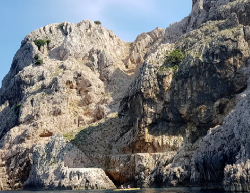 Northern Delights – The 45th Parallel: 6 Islands Sea Kayaking Expedition gallery 3