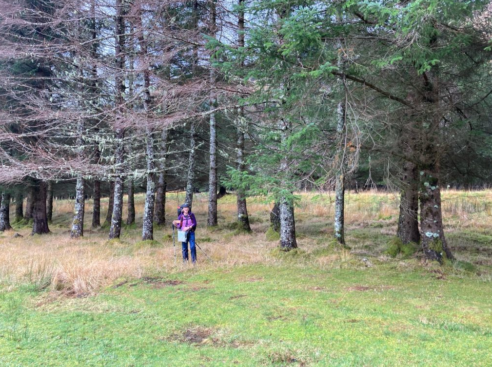 5-Day Scottish Wild Camping and Hiking Adventure in the Cairngorms gallery 10