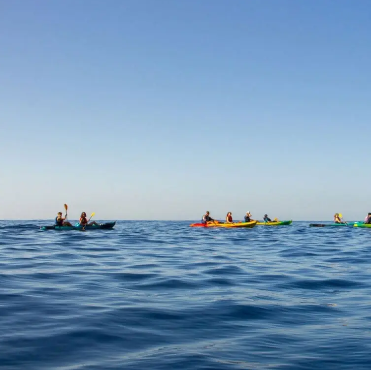 Morning Sea Kayaking Relaxation Tour in the Calanques, photo 3