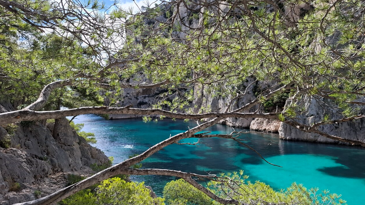 Morning Sea Kayaking Relaxation Tour in the Calanques, photo 5