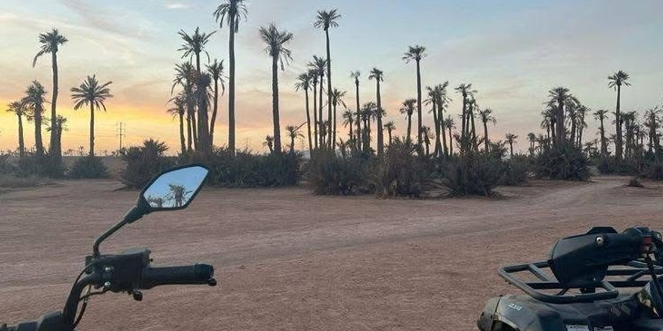 Marrakech Palm Grove Quad Adventure, photo 4