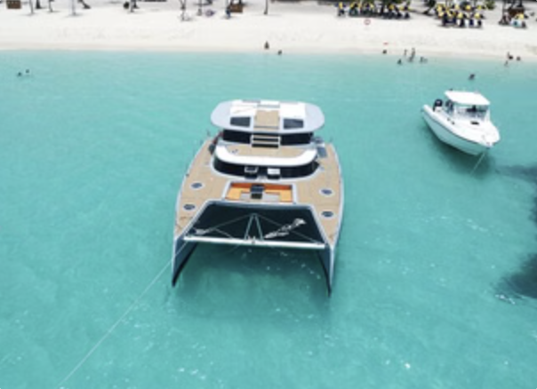 Isla Saona Private Yacht Tour from Bayahibe with Palmilla Natural Pool, photo 4