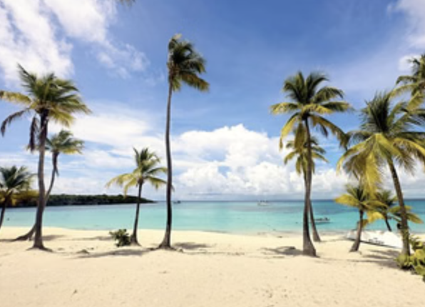 Isla Catalina Snorkeling & Beach Day from Punta Cana with Lunch gallery 4