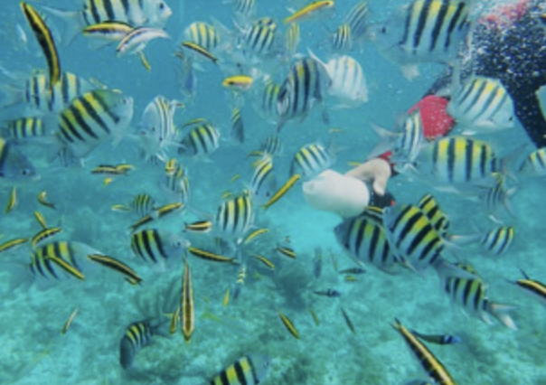 Isla Catalina Snorkeling & Beach Day from Punta Cana with Lunch, photo 3