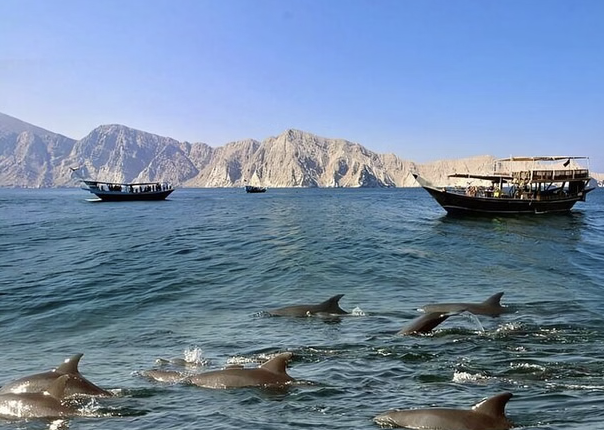 Musandam Dhow Cruise from Khasab with Dolphin Watching & Snorkeling, photo 2