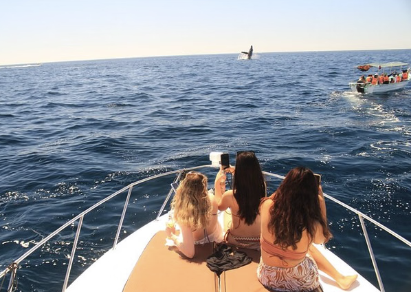 Dubai Private Yacht Cruise – Marina & Palm Jumeirah gallery 2