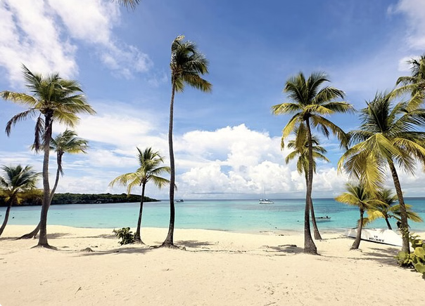 Isla Catalina Snorkel & Beach Day from Punta Cana with Lunch, photo 4