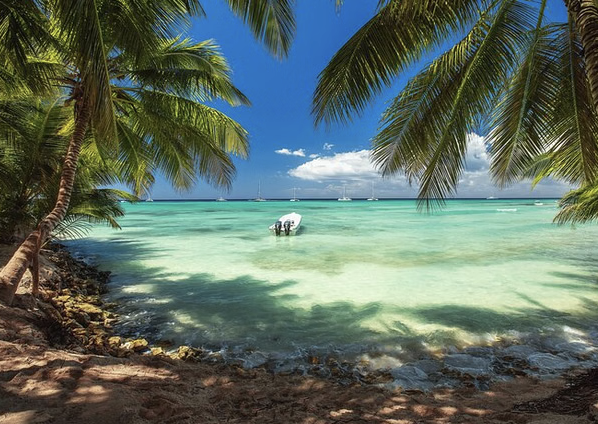 Isla Catalina Snorkel & Beach Day from Punta Cana with Lunch, photo 5