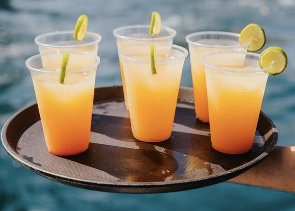 Los Cabos Private Sunset Catamaran Cruise with Open Bar, photo 5