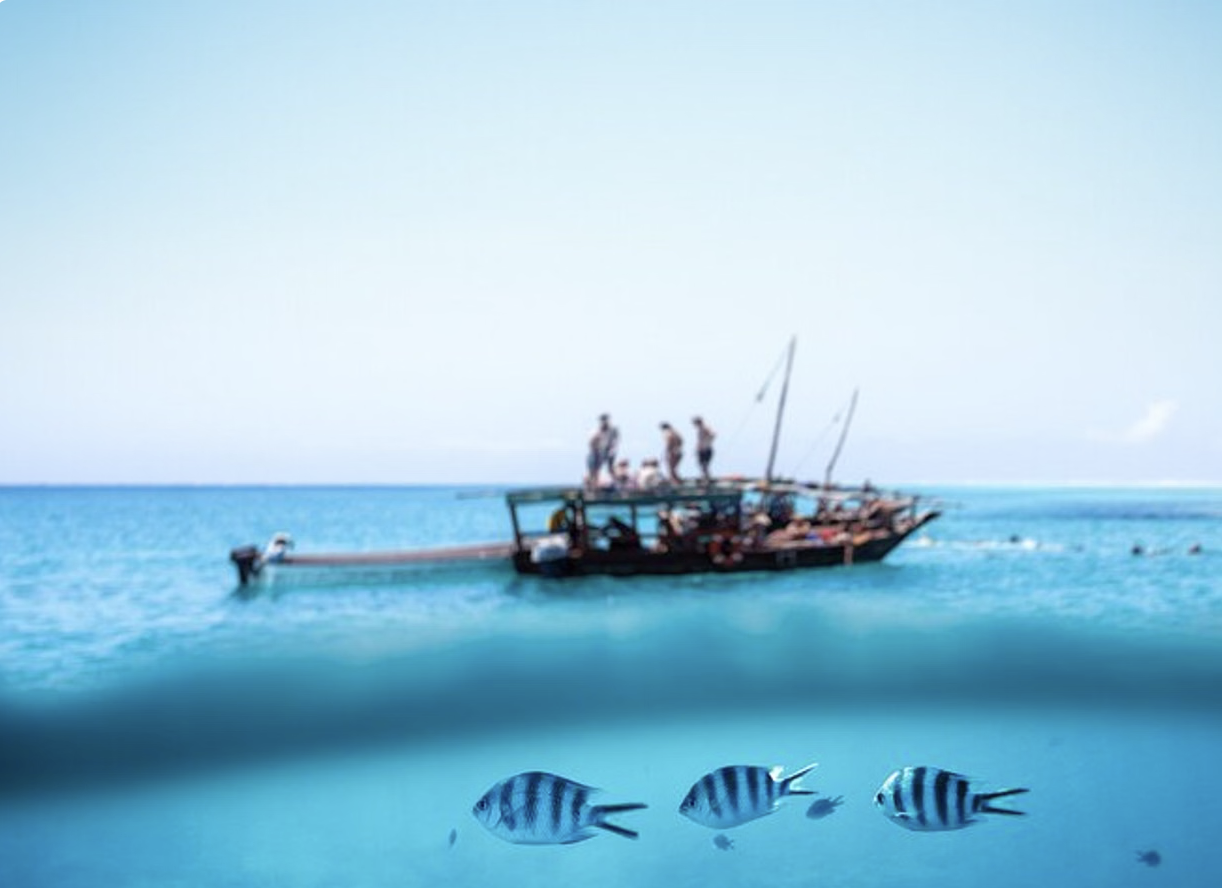 Mnemba Atoll Dhow Snorkeling Cruise with Swahili Lunch, listing photo