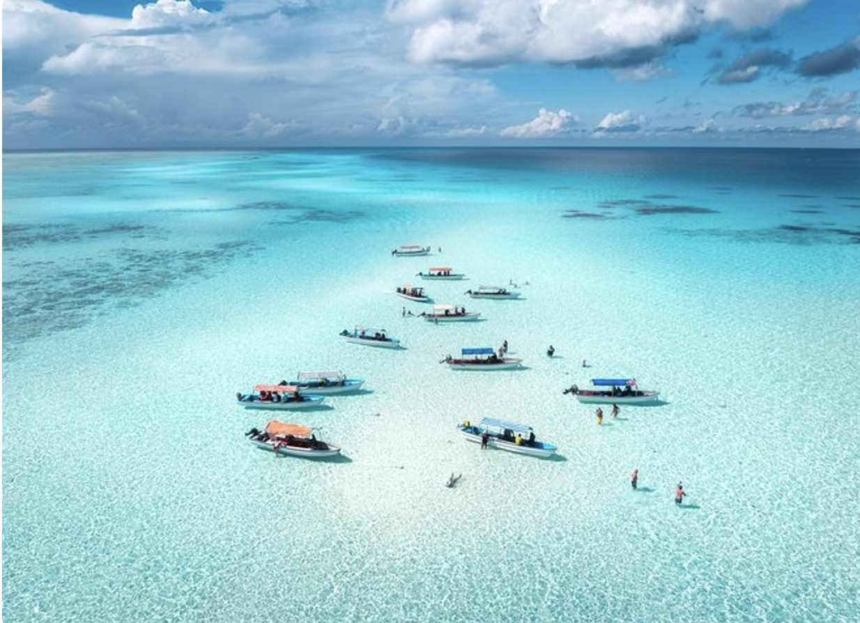 Mnemba Island Private Boat Snorkeling and Dolphin Tour, listing photo