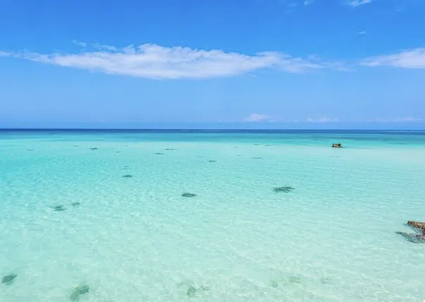 Mnemba Island Private Boat Snorkeling and Dolphin Tour gallery 2