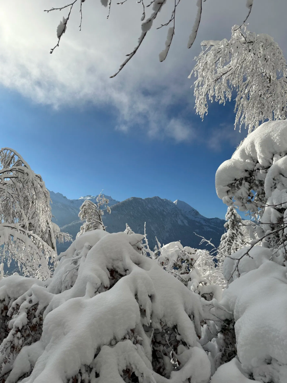 Private Interlaken Winter Harder Kulm Hike with Ultra Runner gallery 8