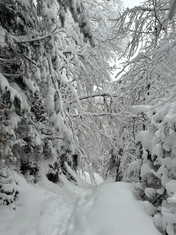 Private Interlaken Winter Harder Kulm Hike with Ultra Runner, photo 5