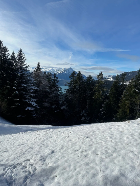 Private Interlaken Winter Harder Kulm Hike with Ultra Runner gallery 3