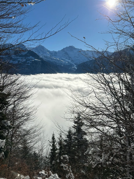 Private Interlaken Winter Harder Kulm Hike with Ultra Runner gallery 4