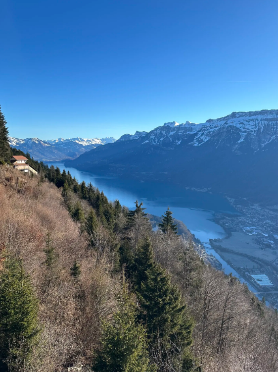 Private Interlaken Winter Harder Kulm Hike with Ultra Runner gallery 5