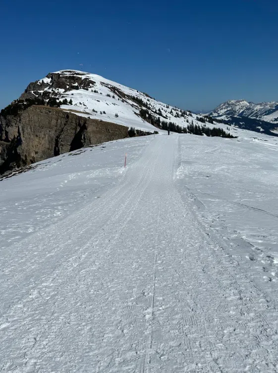 Niederhorn Panorama Ridge Hike with 360 Degree Views, photo 2