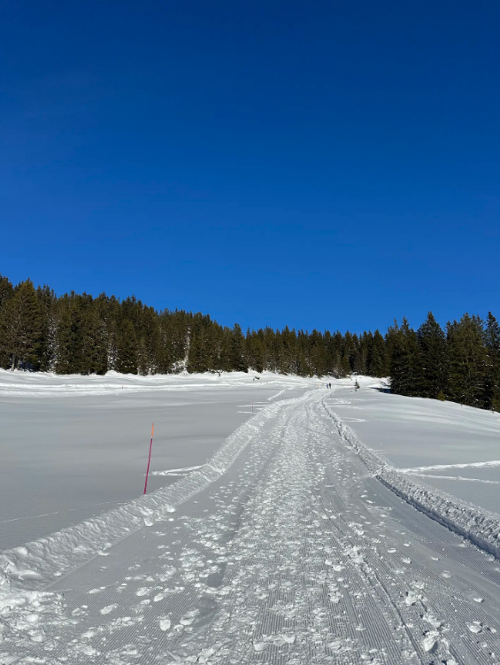 Niederhorn Panorama Ridge Hike with 360 Degree Views gallery 5