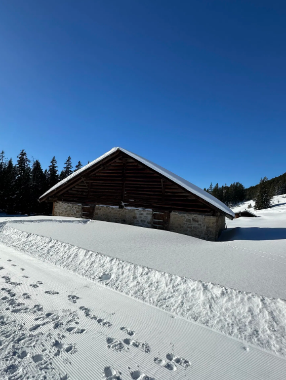 Niederhorn Panorama Ridge Hike with 360 Degree Views gallery 6