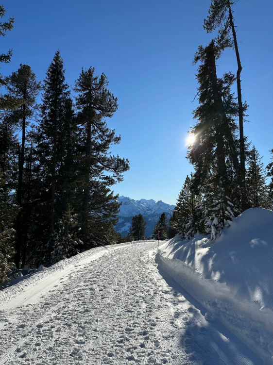 Niederhorn Panorama Ridge Hike with 360 Degree Views gallery 7