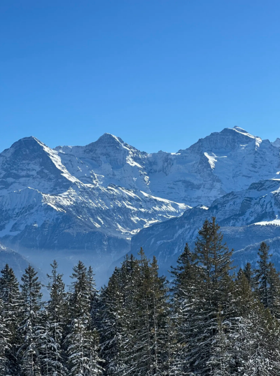 Niederhorn Panorama Ridge Hike with 360 Degree Views, photo 5