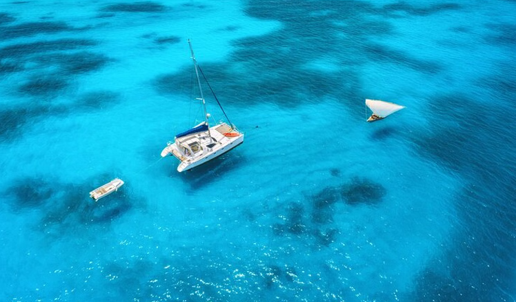 Mnemba Island Private Catamaran Cruise with Lunch and Open Bar, listing photo